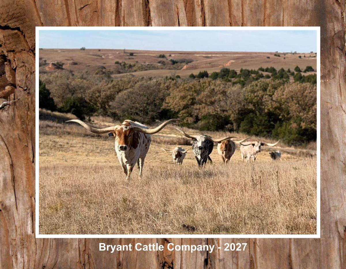 Texas Longhorn Calendar