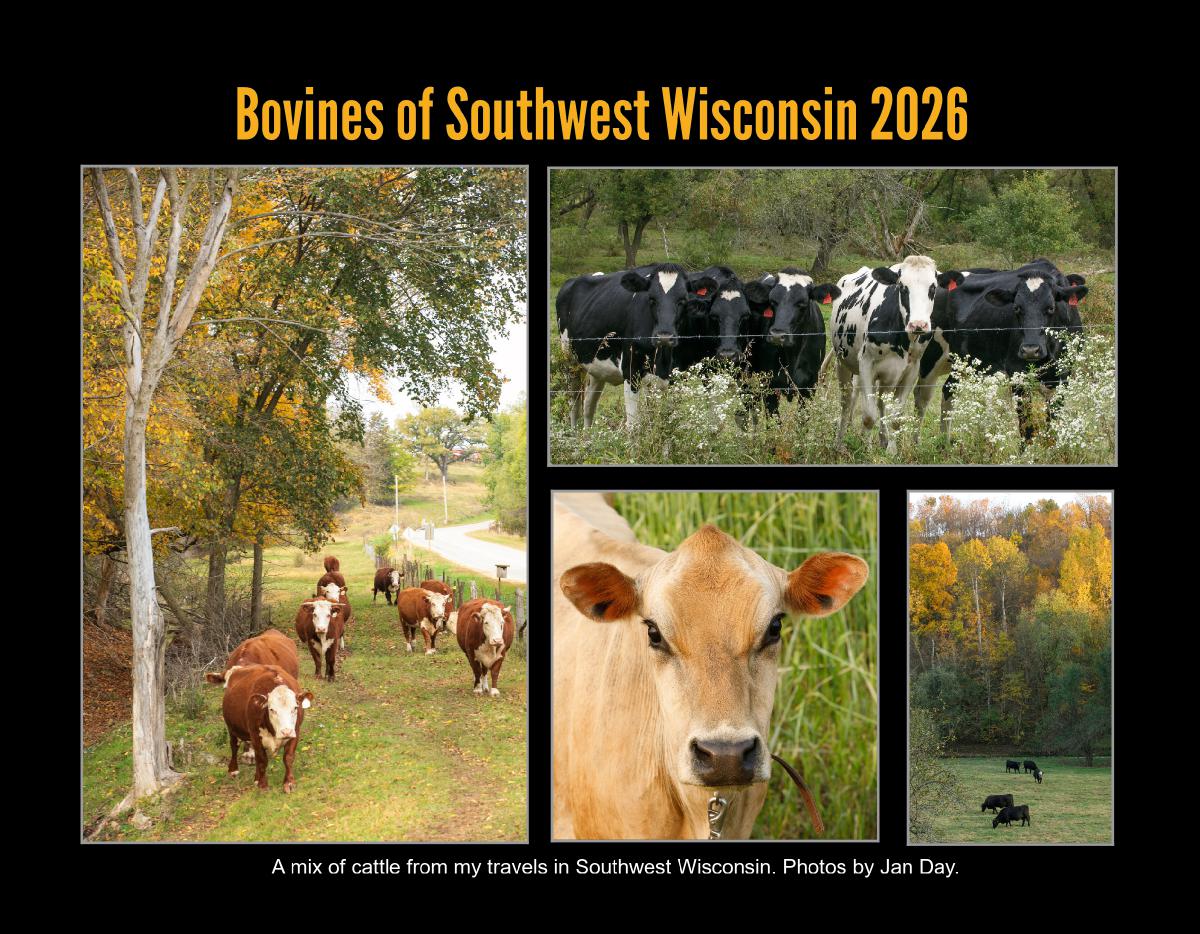 Cows of Southwest Wisconsin 2026 Calendar