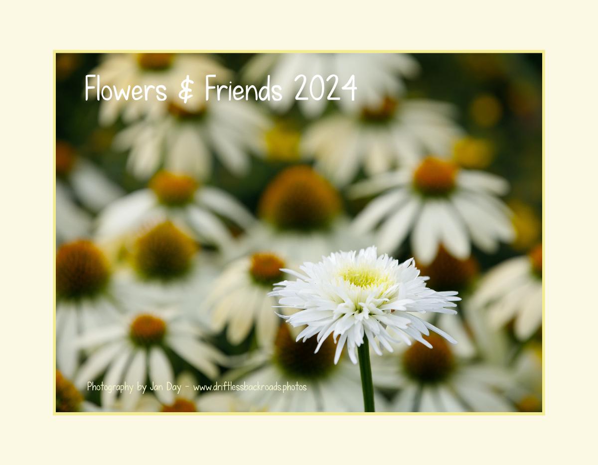 Flowers & Friends