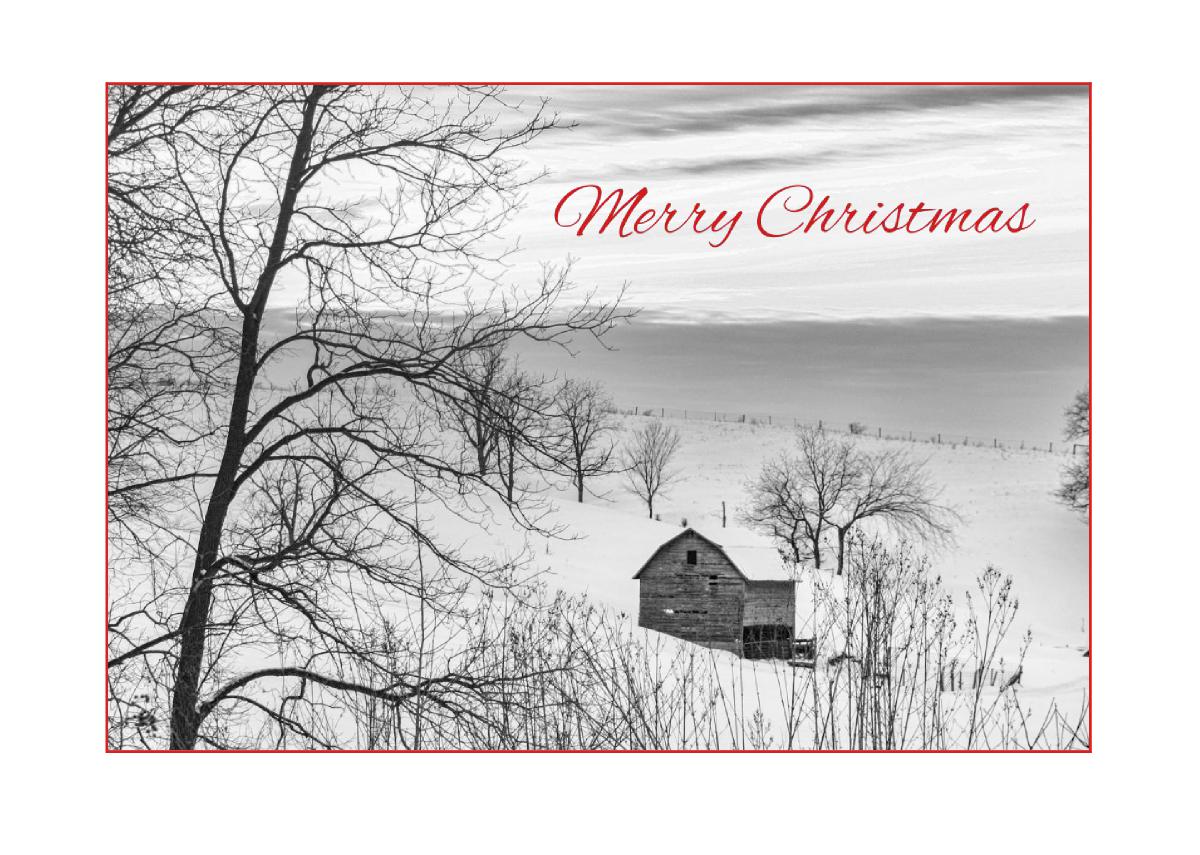 Christmas Card - Black and White Barn