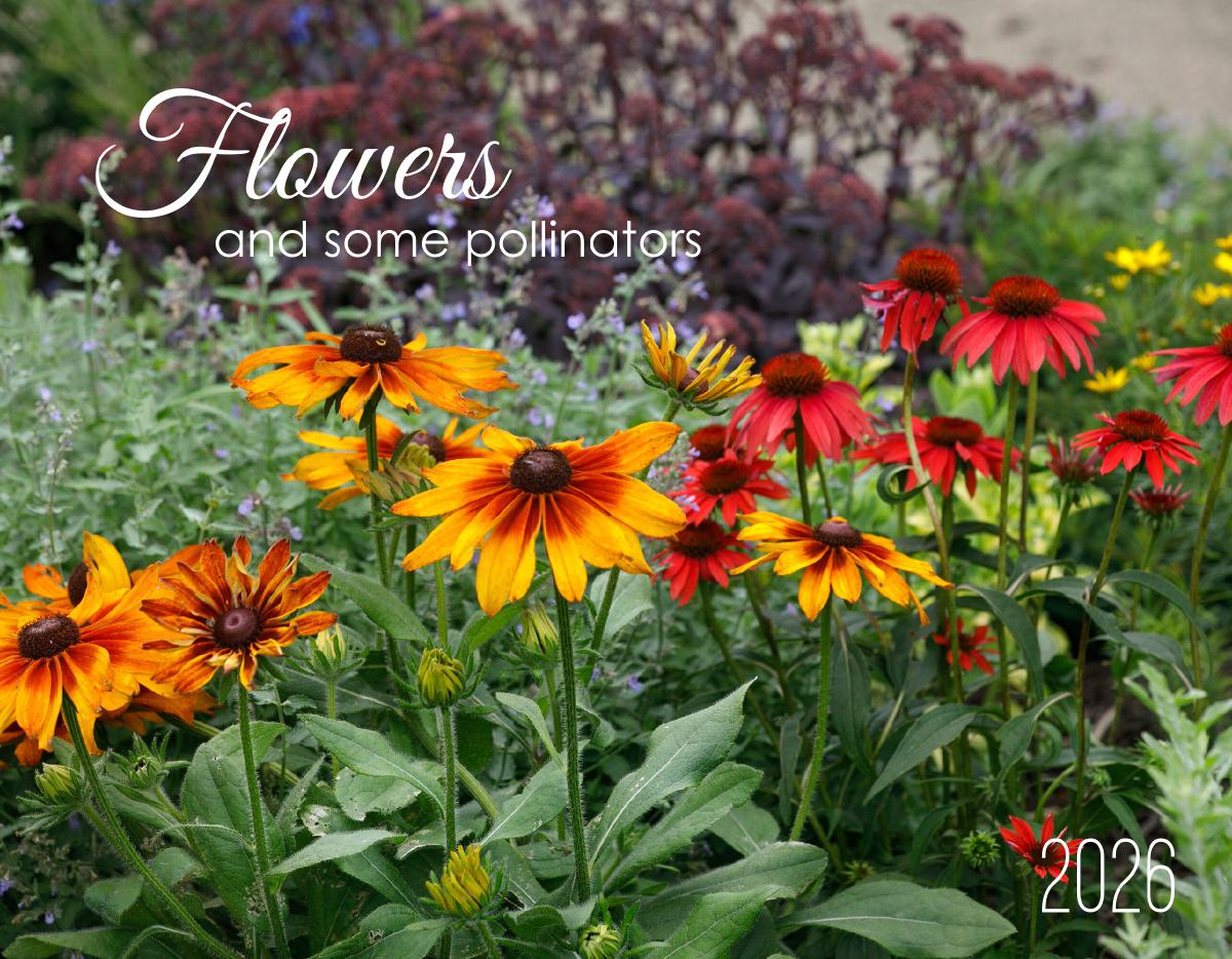 Flowers & Pollinators 2026 Calendar