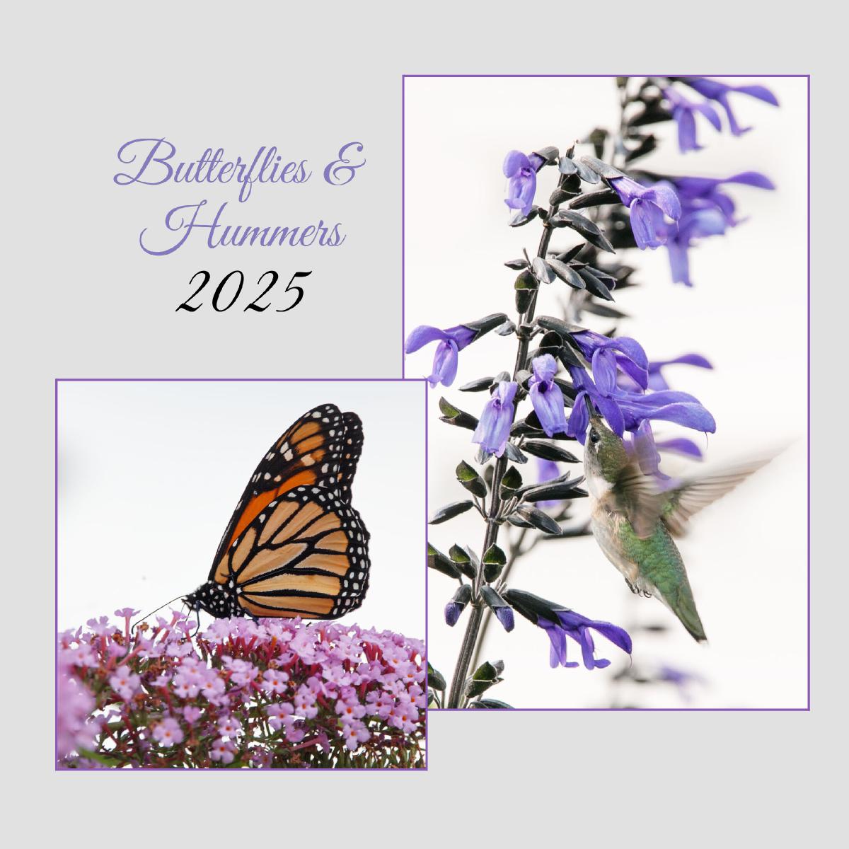 Butterflies and Hummingbirds 2025 Calendar