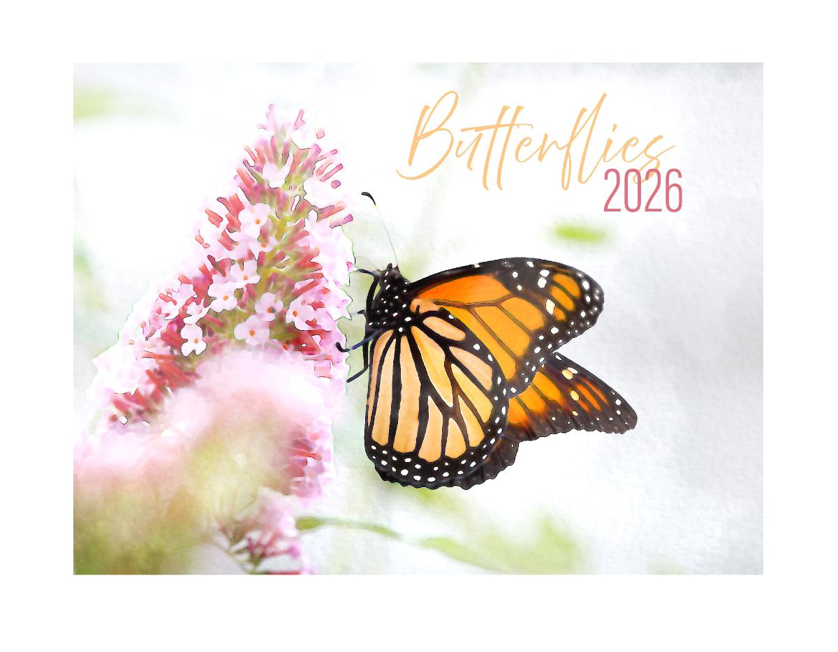 Butterflies 2026 Calendar
