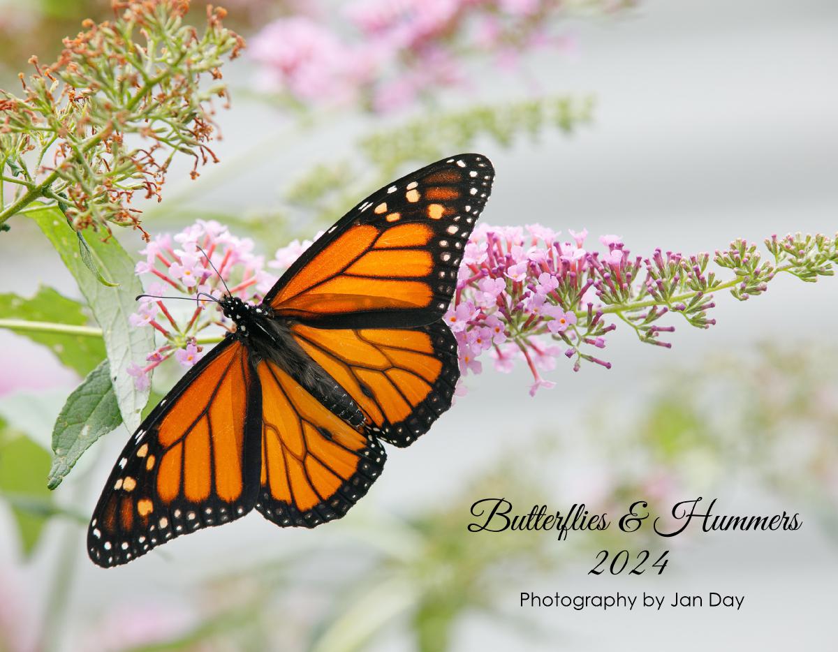 Butterflies and Hummers Calendar