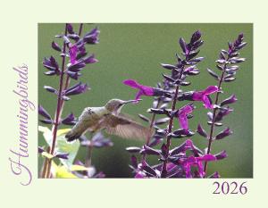 Hummingbirds 2026 Calendar