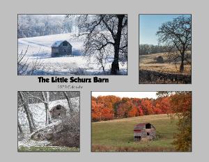 The Little Schurz Barn