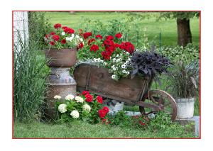 5x7 Notecard -Garden Wheelbarrow