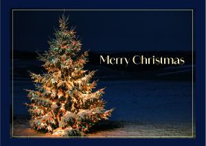 Christmas Tree Card 5x7
