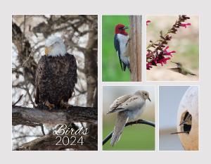 Birds 2024 Calendar