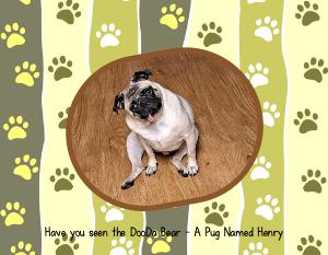 DooDa Bear - Pug Named Henry Calendar