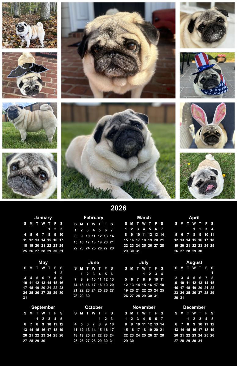 Jemma the Pug 2026 Poster Calendar