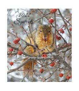 2022 Squirrels CD Case Calendar