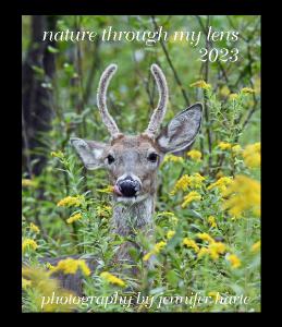 nature through my lens CD Case Calendar 2023