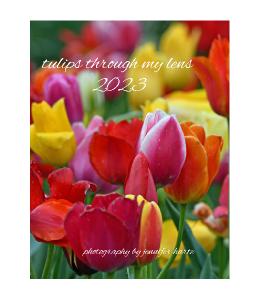 tulips through my lens 2023 CD Case Calendar