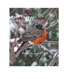 2022 Birds of Michigan CD Case Calendar