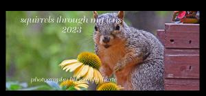 squirrels through my lens desk calendar 2023