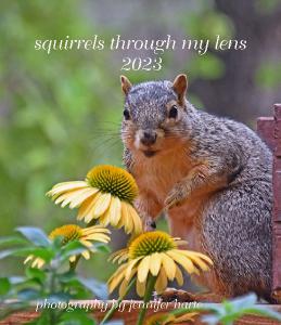 squirrels through my lens CD Case Calendar 2023