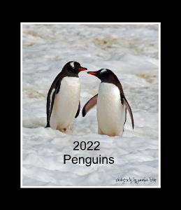 2022 Penguin CD Case Calendar
