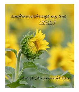 Sunflowers Through My Lens 2023 CD Calendar