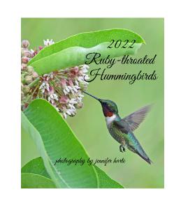 2022 Ruby-throated Hummingbirds CD Case Calendar