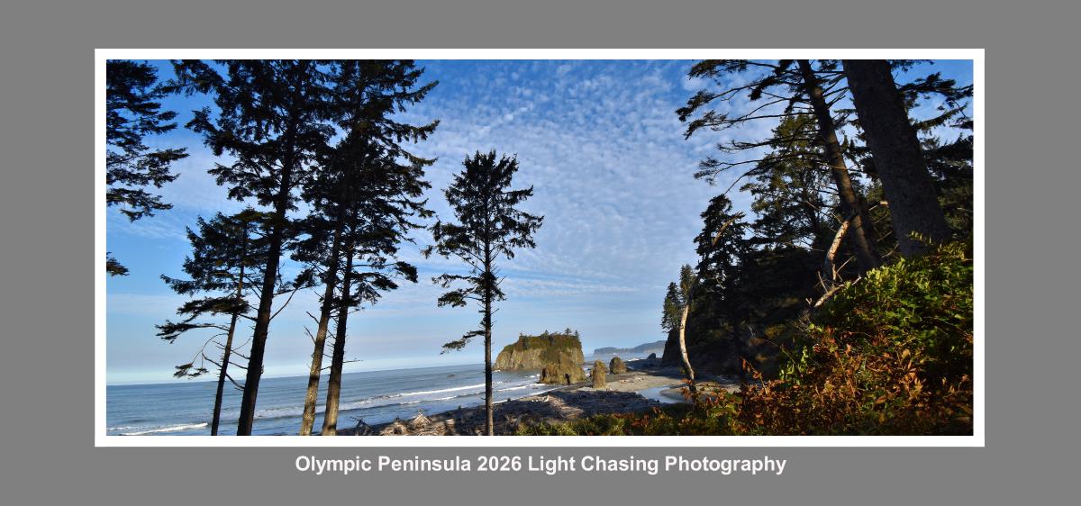 2026 Olympic Peninsula Desk Calendar
