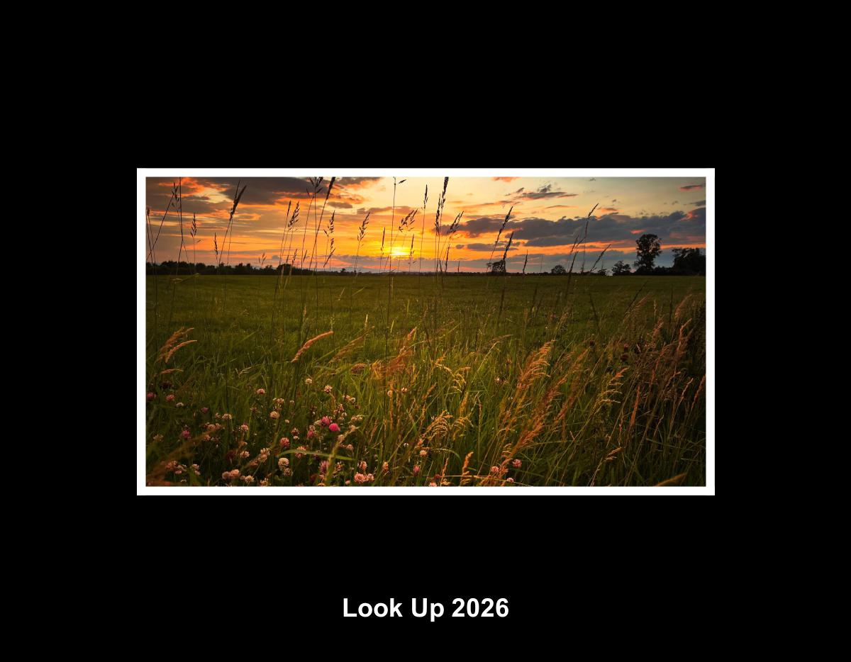 Look Up 2026