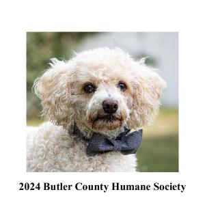 2024 Butler County Humane Society Pet Calendar | Create Photo Calendars