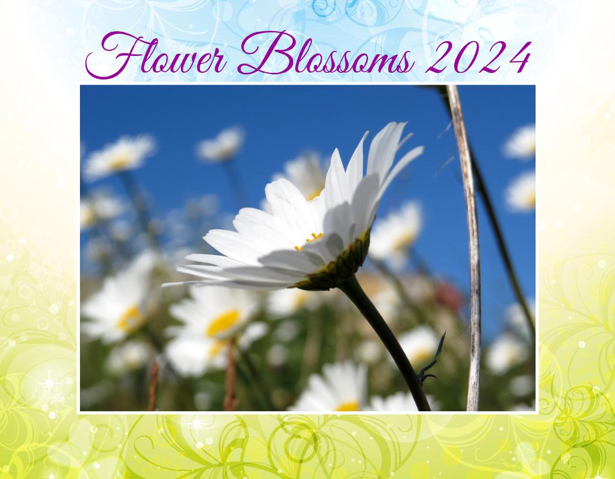 Flower Blossoms 2024