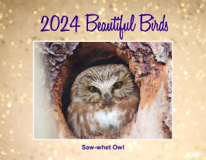 2024 Beautiful Bird Calendar