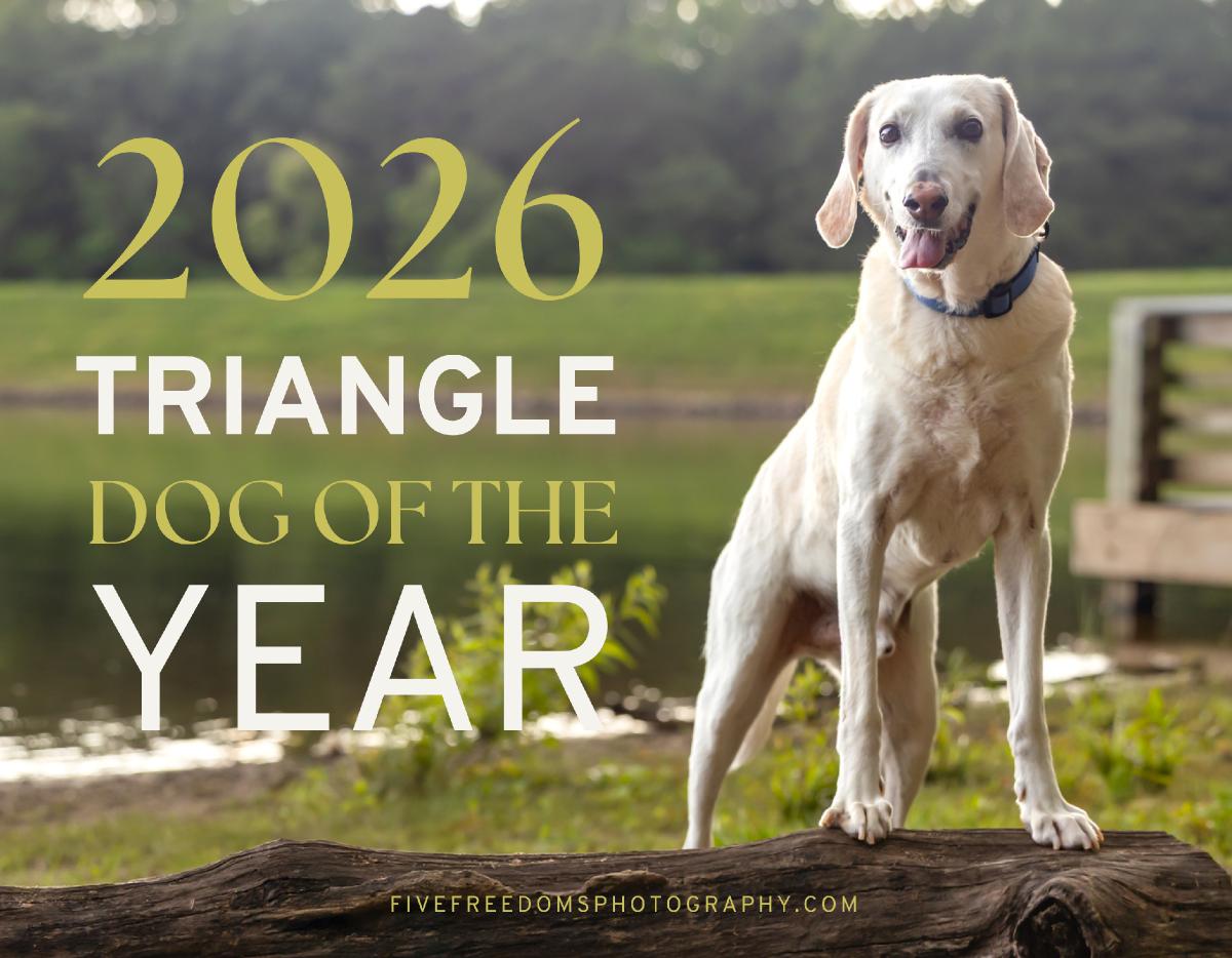 2026 Triangle Dog Of The Year Calendar