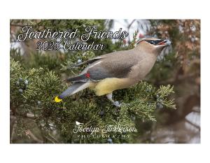 Jocelyn Anderson - Feathered Friends 2023 Calendar