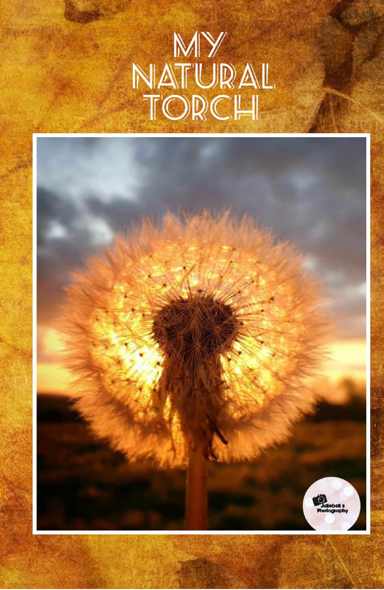 My Natural Torch Notebook