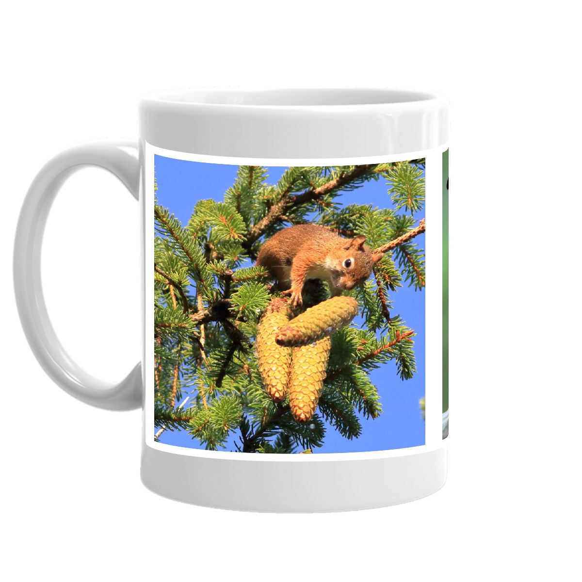 Squirrel Mug
