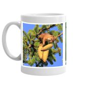 Squirrel Mug