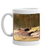 The Big Brown Buffalo Poem mug