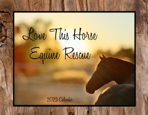 Love This Horse Equine Rescue Calendar 2023
