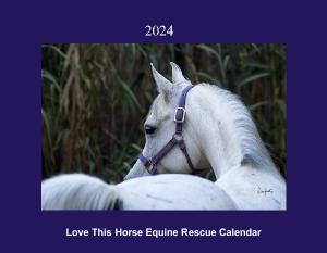 2024 Love This Horse Equine Rescue