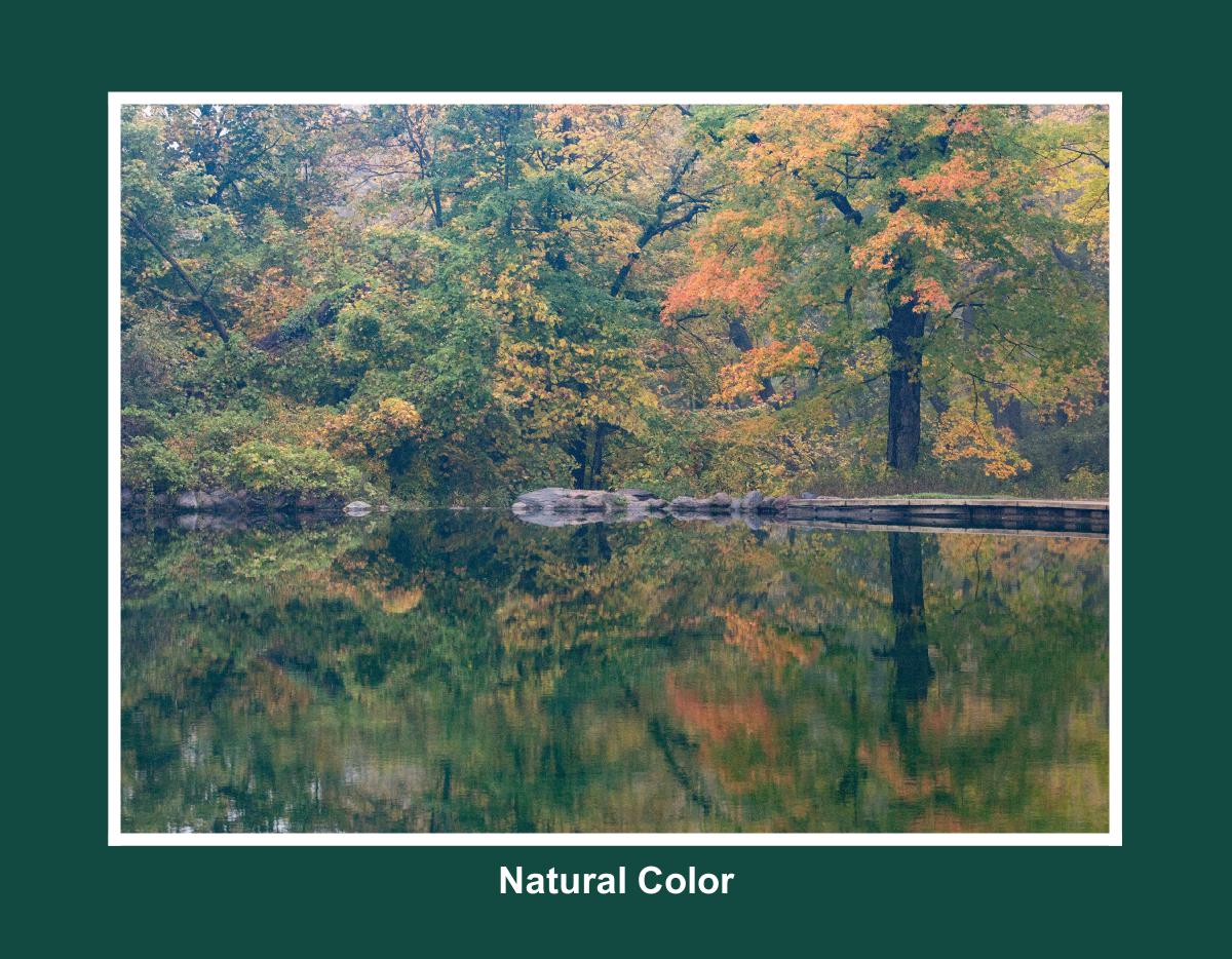 Natural Color 2027