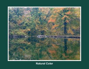 Natural Color 2027