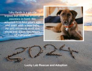 Lucky Lab Rescue and Adoption 2024 Calendar