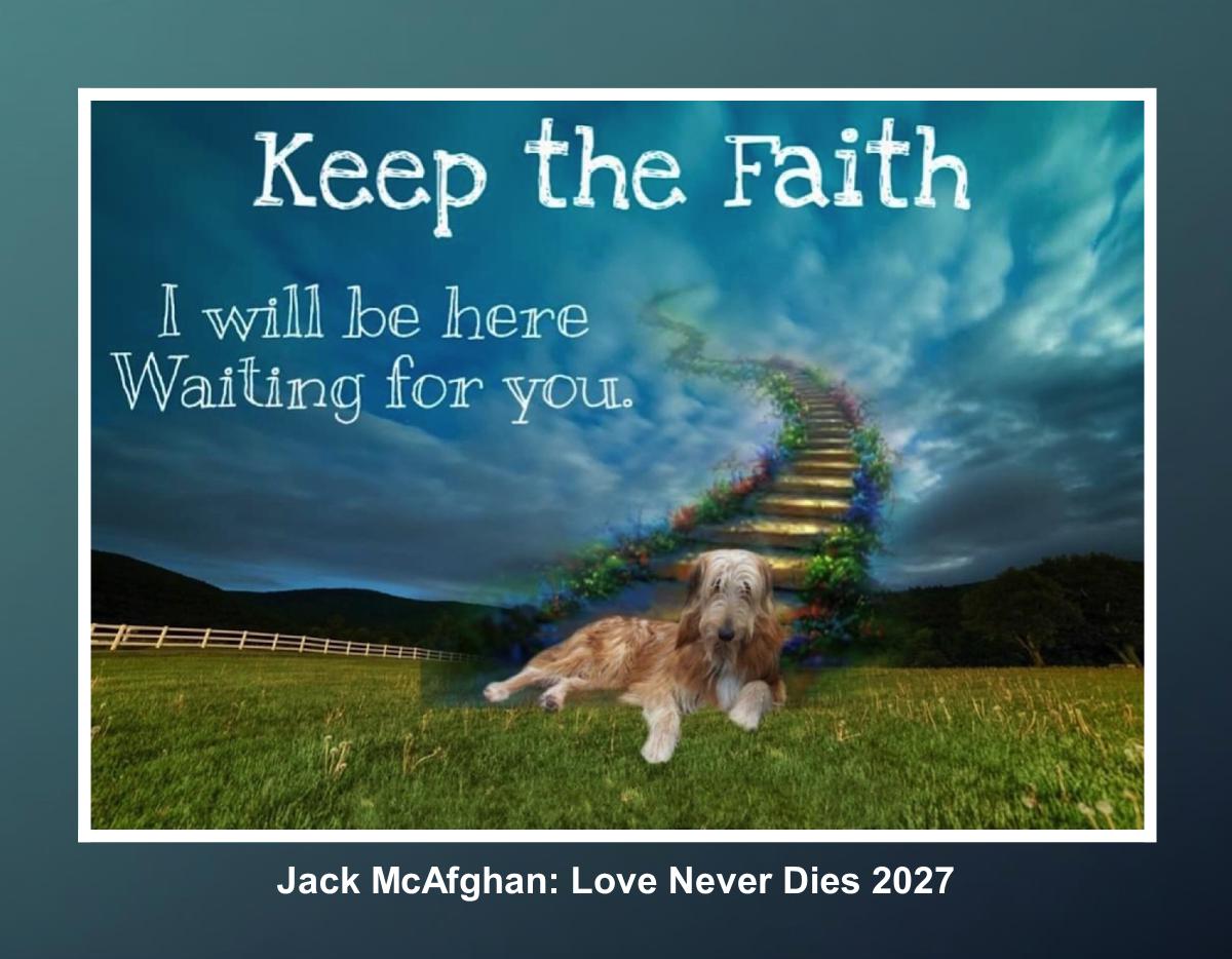 Jack McAfghan: Love Never Dies 2027
