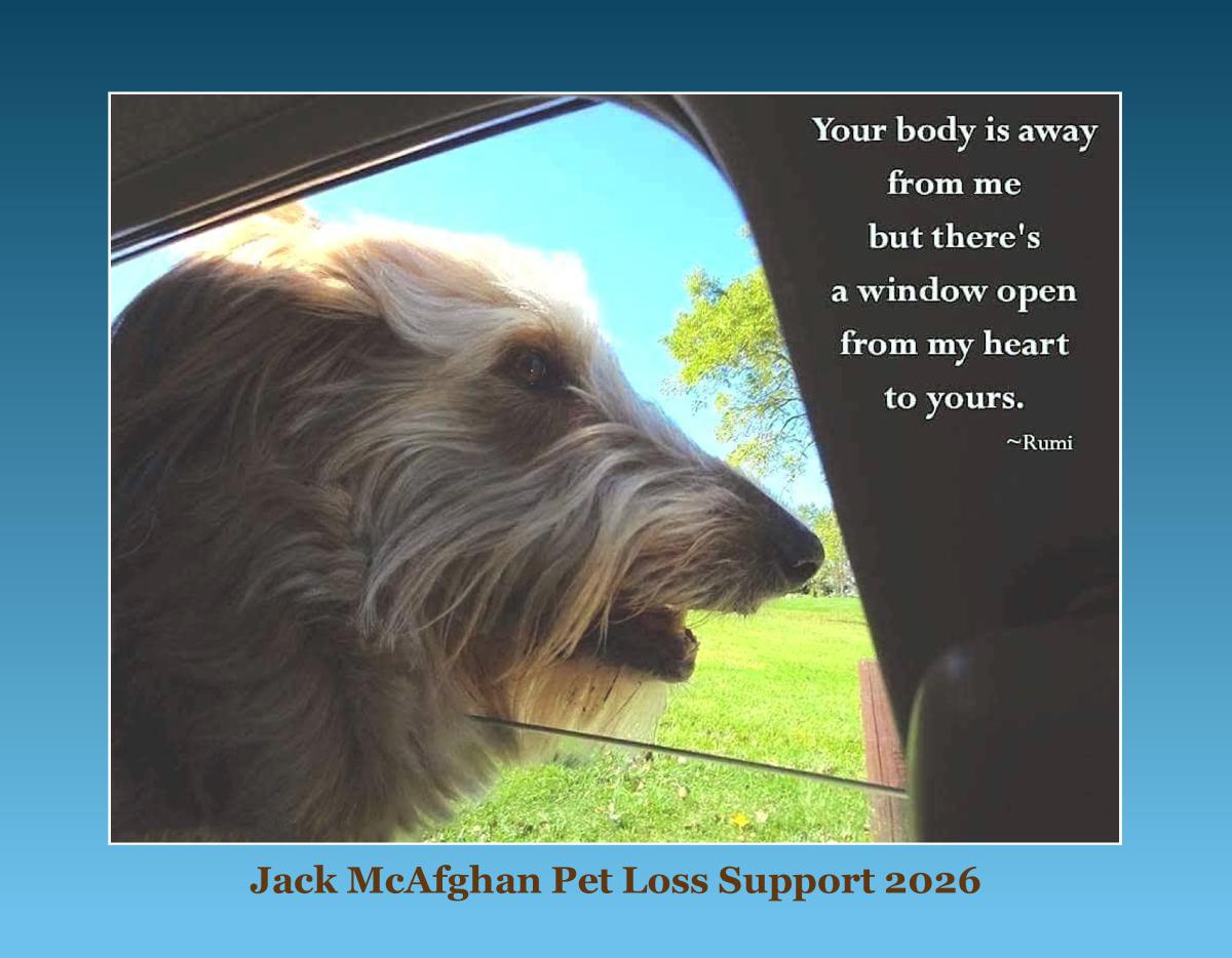 Jack McAfghan's Pet Loss Support 2026 Calendar