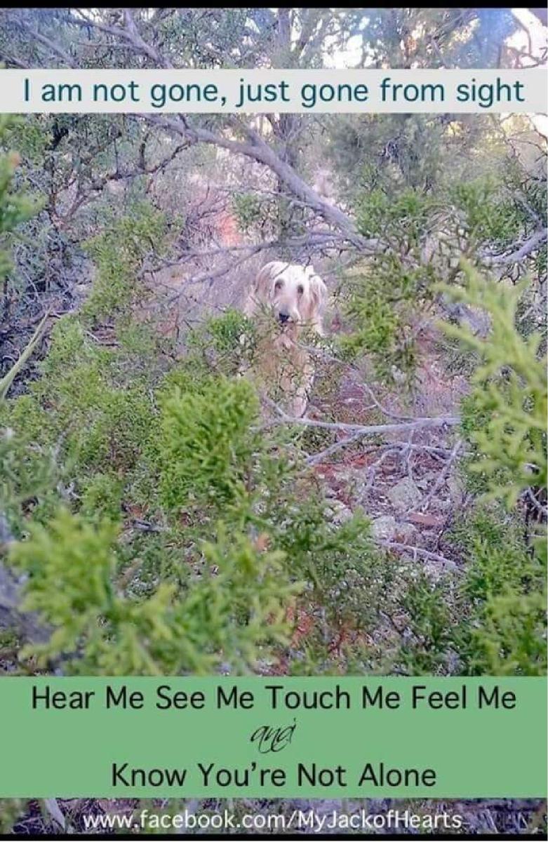 Jack McAfghan Notebook - Write Your Journey