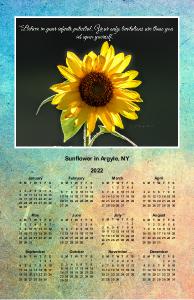Sunflower Poster Calendar