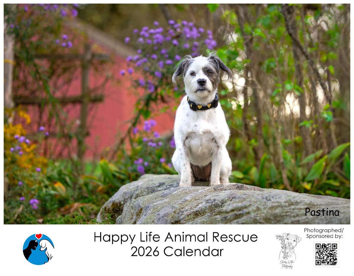 Happy Life Animal Rescue 2026 Calendar