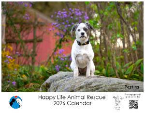 Happy Life Animal Rescue 2026 Calendar