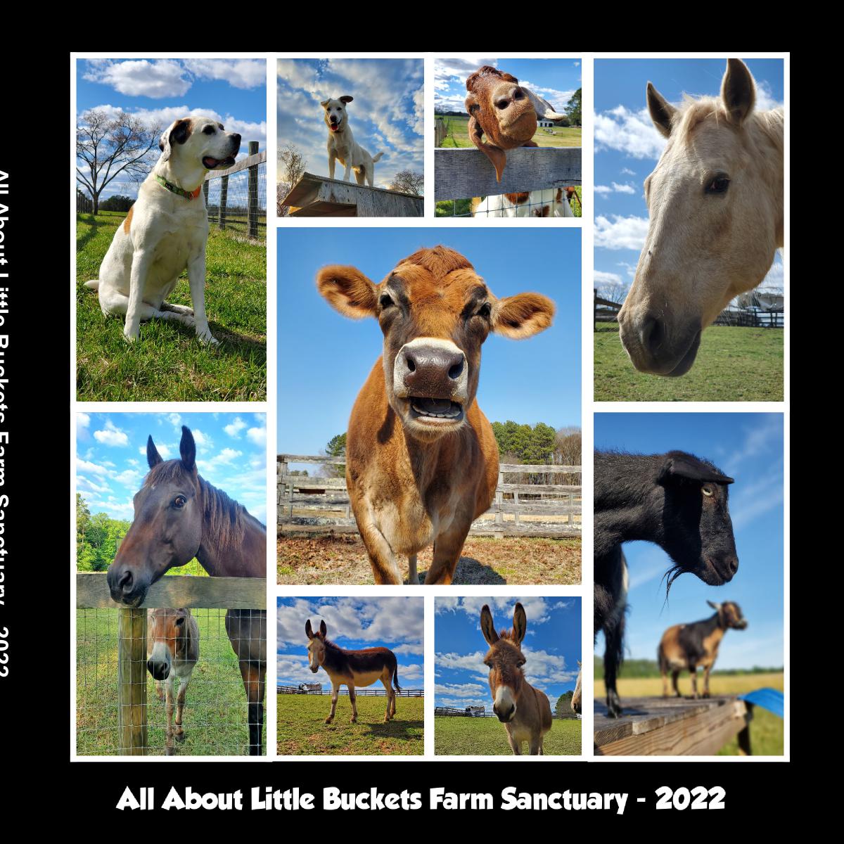 All About 2022 Photo Book - Little Buckets Gang