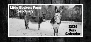 2026 Desk Calendar - Little Buckets Farm Sanctuary