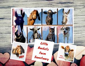 2024 Wall Calendar - Little Buckets Farm Sanctuary