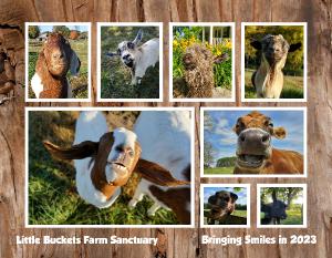 2023 Wall Calendar - Bringing Smiles